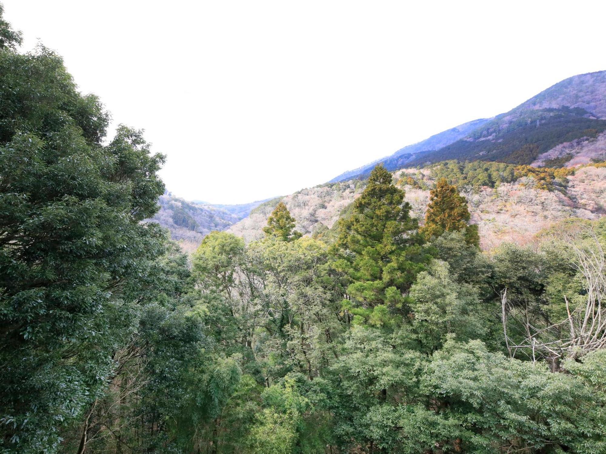 Hot Spring Inn Hakone Suisen Dış mekan fotoğraf